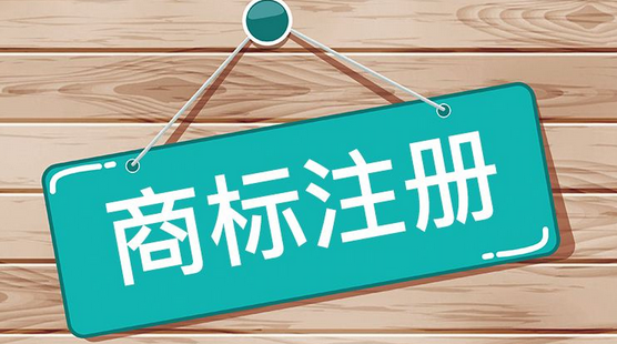 商标转让申请哪些问题可以通知补正？