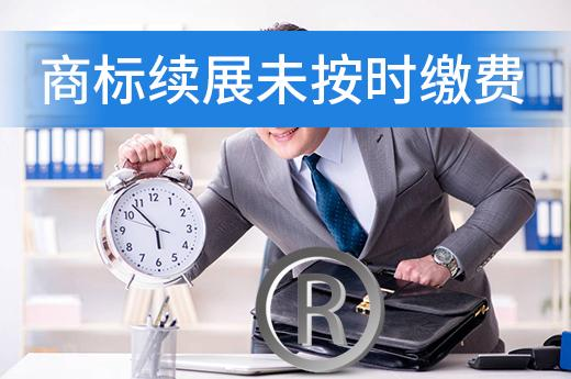 商标到期未进行续展，商标持有人还可以继续使用吗？