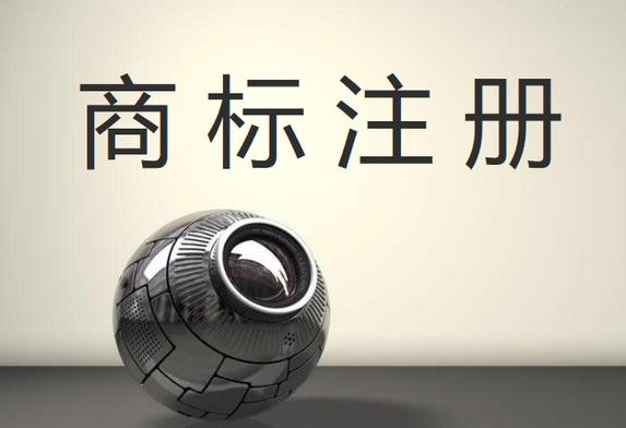 补正及对补正通知书回文的审查