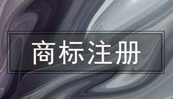 马德里商标转受让申请人的要求