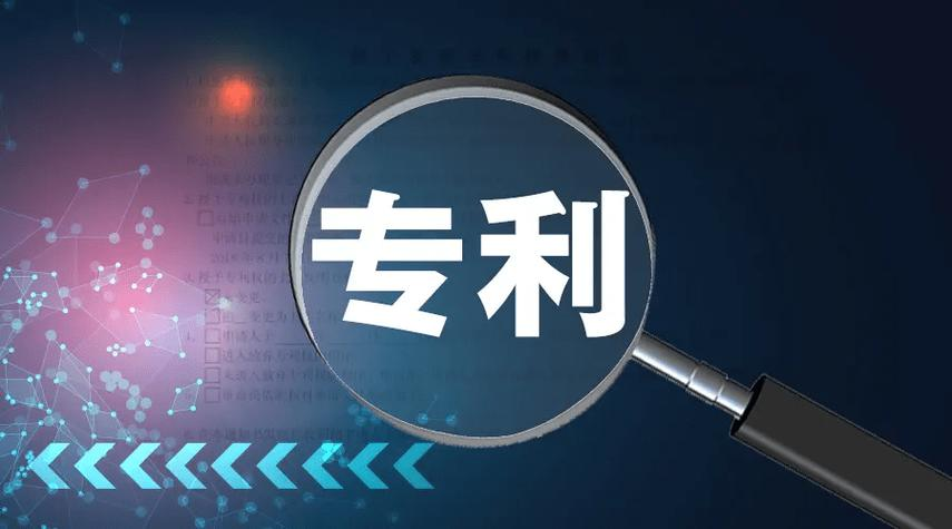 复审请求审查决定的类型